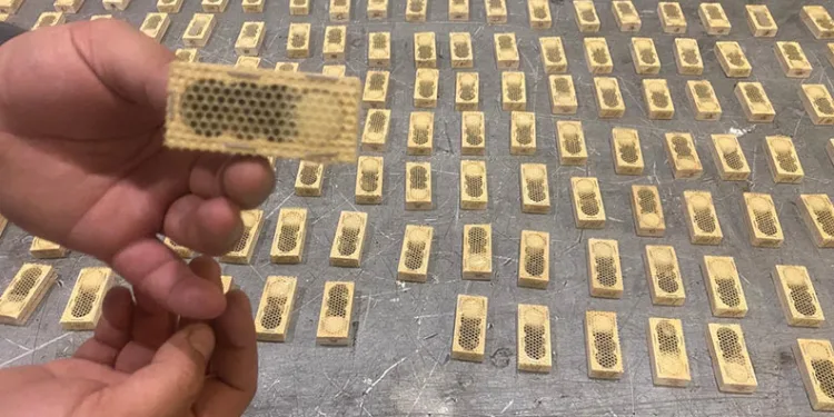 Kaçak hayvan ticaretine geçit yok