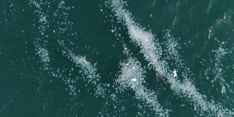 Boğaz’da alarm veren görüntü