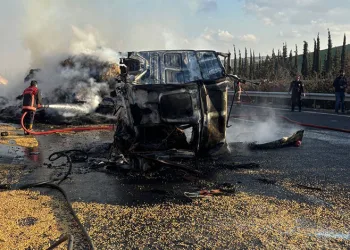 Şanlıurfa’da aynı istikamette giden iki tır çarpıştı: 1 ölü, 1 yaralı