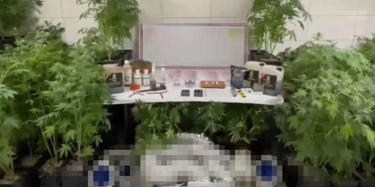 Bursa’da jandarmadan uyuşturucu operasyonu