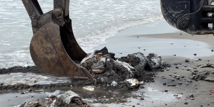 Samsun’da denize atılan çuvallar dolusu inşaat atığı temizlendi, inceleme başlatıldı