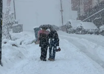 Hakkâri’de kar 20 köy ve 38 mezra yolu ulaşıma kapandı