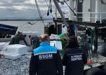 Kırklareli’de hamsi sevkiyatlarına denetim
