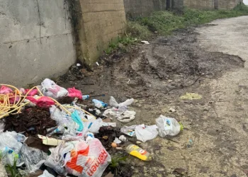 Zonguldak’ta çöp ve yol sorunu vatandaşı çileden çıkardı