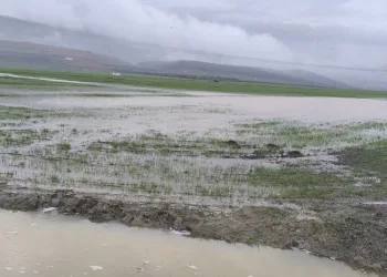 Gaziantep’te tarım arazileri su altında kaldı