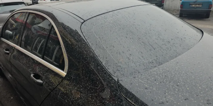 Zonguldak’ta gökten çamur yağdı