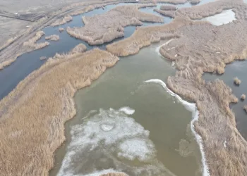Iğdır’da donan Karasu Sazlığı’nda buzlar eriyor