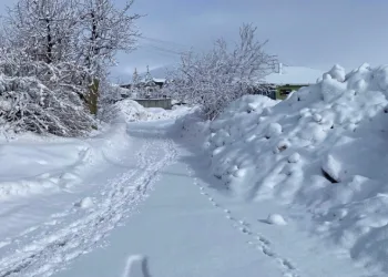 Karlıova’da kar yağışı etkisini sürdürüyor
