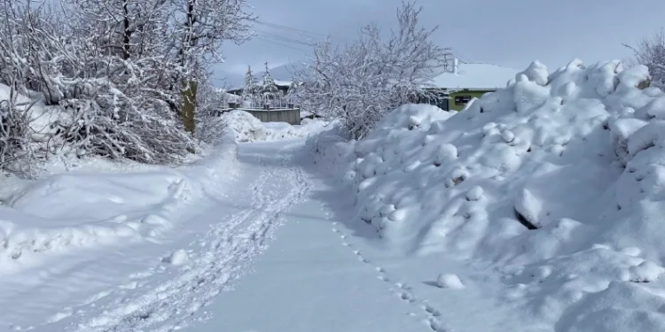 Karlıova’da kar yağışı etkisini sürdürüyor
