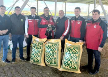 Ezine’de taşkından etkilenen yetiştiricilere yem desteği