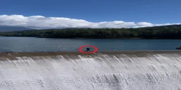 Balık üreticisinin savakları açık barajda yürekleri ağızlara getiren temizlik çalışması