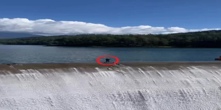 Balık üreticisinin savakları açık barajda yürekleri ağızlara getiren temizlik çalışması