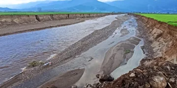 Ödemiş’te baraj tahliye suyu sel oldu, geçtiği tarlaları küçülttü