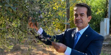 Antalya zeytinyağını markalaştıracak 30 öneri