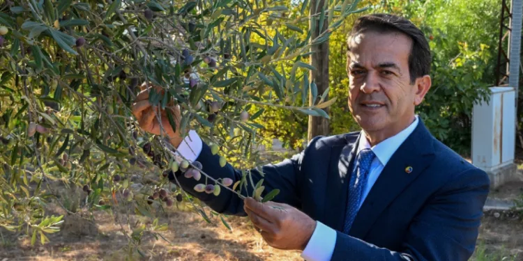 Antalya zeytinyağını markalaştıracak 30 öneri