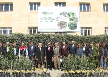 Şırnak’ta 25 bin 200 fidan toprakla buluştu: 810 dekar meyve bahçesi oluyor