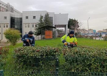 Hastane bahçelerinde budama ve bakım çalışması yapılıyor