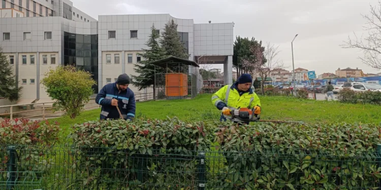 Hastane bahçelerinde budama ve bakım çalışması yapılıyor