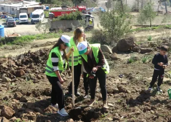 Hatay’da orman yangınından zarar gören alanlarda 5 bin fidan toprakla buluşturuldu