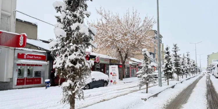 Patnos’ta kar sürprizi: İlçe merkezine 40 cm kar yağdı