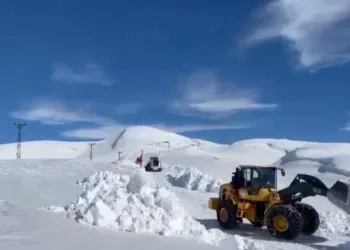 Şırnak’ta ekiplerin kar mesaisi sürüyor