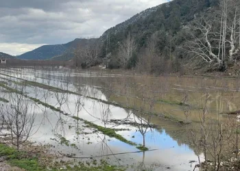 Elmanın başkenti Eğirdir’de yağış bereketi bahçeleri göle çevirdi