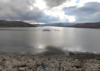 Kurumaya yüz tutan barajda doluluk oranı yüzde 50 seviyelerine yaklaştı
