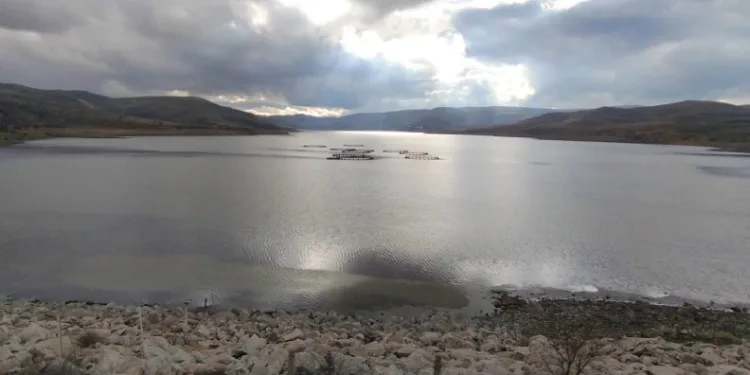 Kurumaya yüz tutan barajda doluluk oranı yüzde 50 seviyelerine yaklaştı