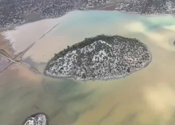 Gören “Meke” sandı, gerçek başka çıktı
