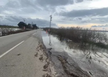Meriç Nehri taştı, sedde patladı: Karayolu sular altında