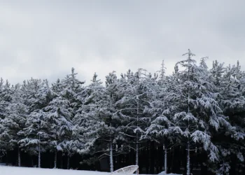 Ankara’da kar yağışı
