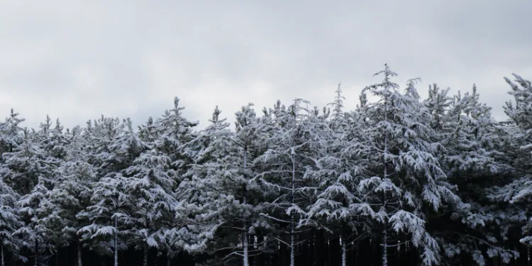 Ankara’da kar yağışı