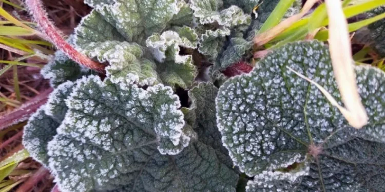 Muğla 5 gün soğuk havanın etkisinde olacak