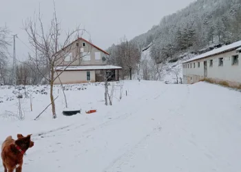 Sakarya’da yüksek kesimlerde kar, şehir merkezinde yağmur etkili oldu