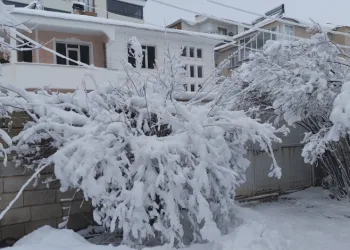 Erciş’te yoğun kar yağışı