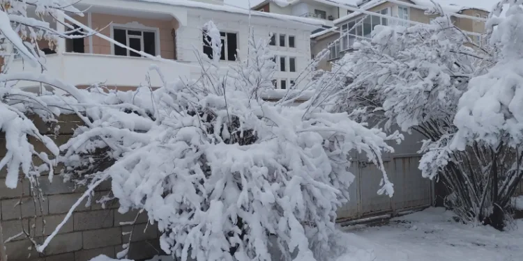 Erciş’te yoğun kar yağışı