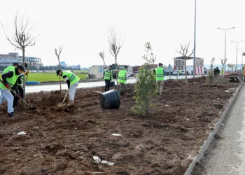 Diyarbakır’da üstyapı çalışmaları