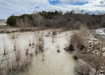 Bir dönem tamamen kuruyan nehir, yeniden coştu