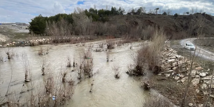 Bir dönem tamamen kuruyan nehir, yeniden coştu