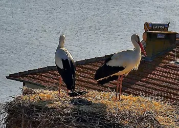 Beklenen buluşma gerçekleşti