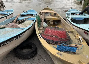 Turna severlere Uluabat Gölü’nden güzel haber