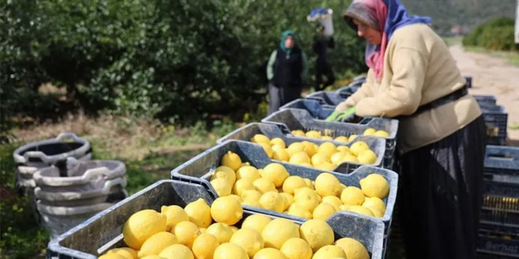 Ulu Camii’nde yoğunluk sebebiyle bir kadın baygınlık geçirdi