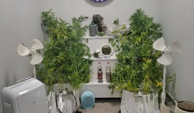 Hakkari’de sağlık camiasını yasa boğan ölüm