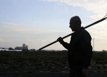 Tarım işçilerinin günlük ücreti arttı