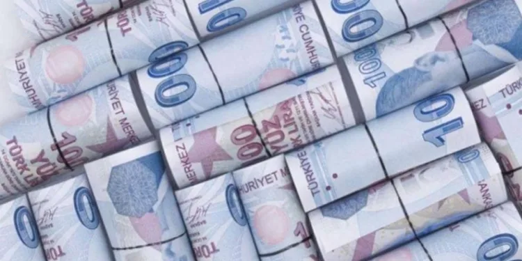 Bütçe Şubat ayında 24,4 milyar TL fazla verdi