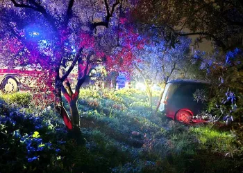 Mudanya’da kazadan kaçan sürücü zeytinliğe daldı