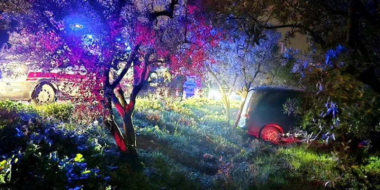 Mudanya’da kazadan kaçan sürücü zeytinliğe daldı