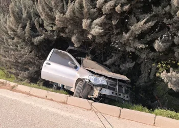 Bursa’da kontrolden çıkan otomobil ağaçlık alana uçtu