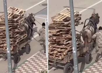 Bursa’da pes dedirten görüntüler