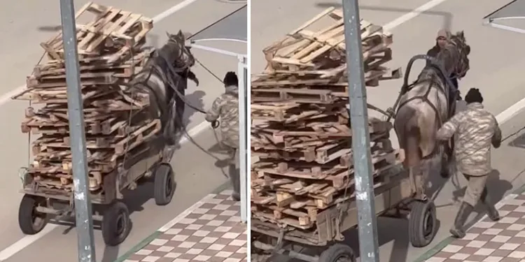 Bursa’da pes dedirten görüntüler